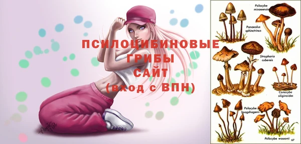 скорость Баксан
