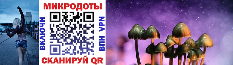 KRAKEN зеркало Лениногорск Псилоцибиновые грибы MAGIC MUSHROOMS